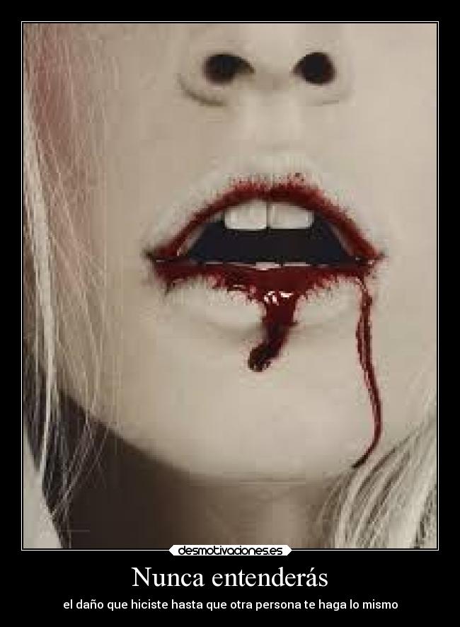 Nunca entenderás - 