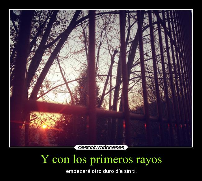 carteles amor dolor desmotivaciones