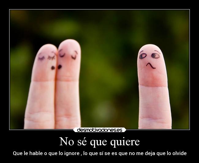 No sé que quiere - Que le hable o que lo ignore , lo que sí se es que no me deja que lo olvide