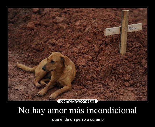 No hay amor más incondicional -