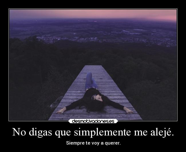 No digas que simplemente me alejé. -
