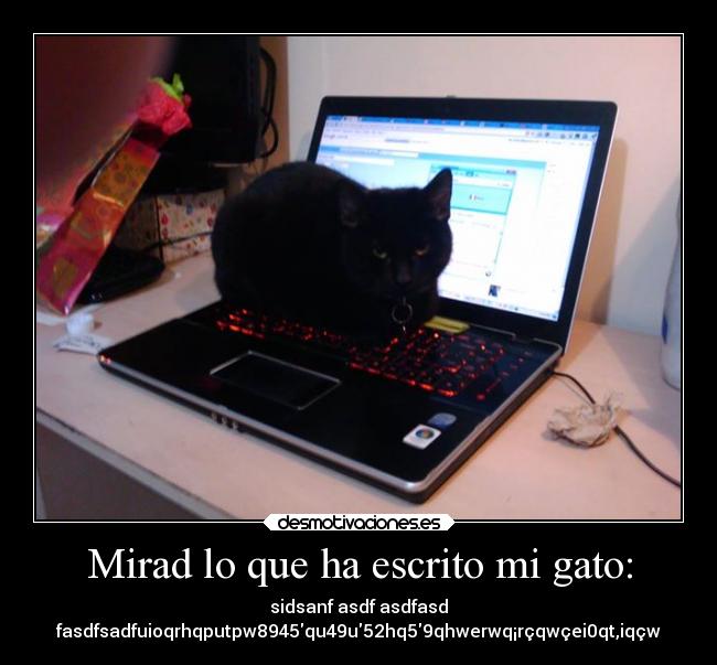 Mirad lo que ha escrito mi gato: - sidsanf asdf asdfasd
fasdfsadfuioqrhqputpw8945qu49u52hq59qhwerwq¡rçqwçei0qt,iqçw