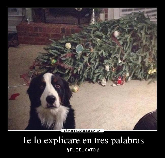 carteles animales desmotivaciones