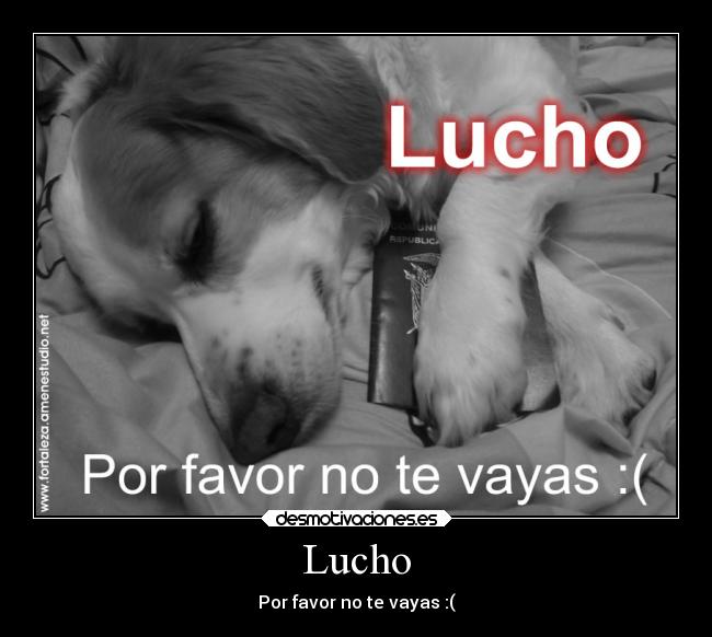Lucho - Por favor no te vayas :(