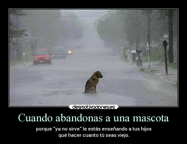 Cuando abandonas a una mascota -