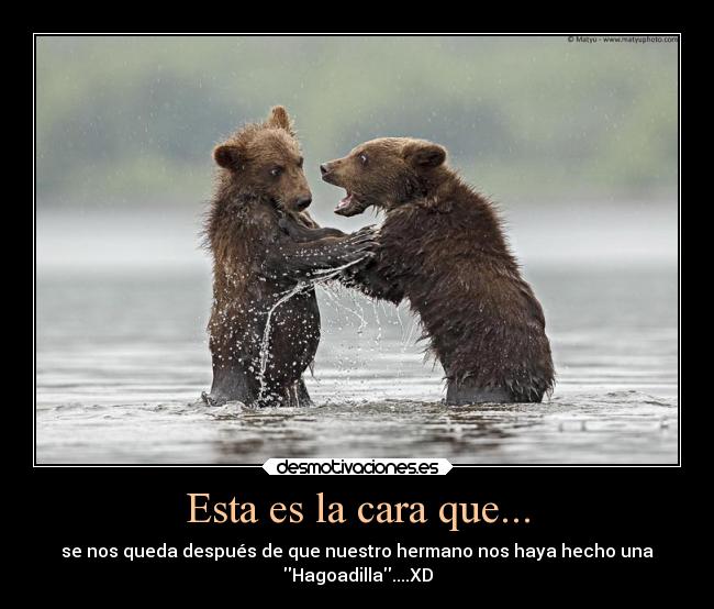 Esta es la cara que... - se nos queda después de que nuestro hermano nos haya hecho una
Hagoadilla....XD