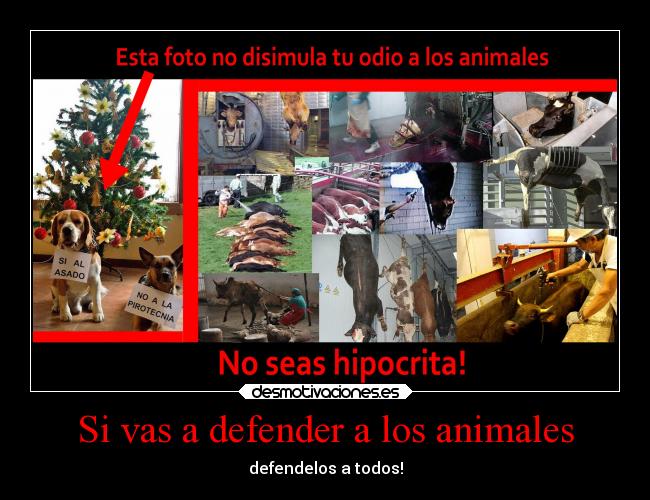 Si vas a defender a los animales - 