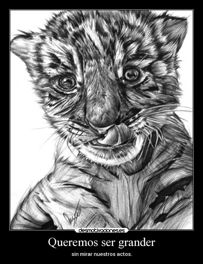 carteles animales dibujo mio boli tigre cachorro desmotivaciones