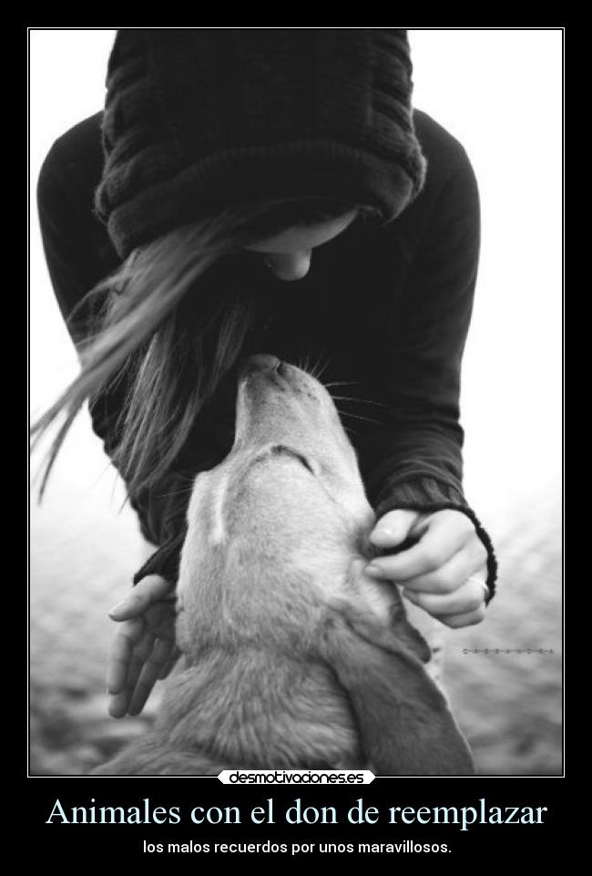 Animales con el don de reemplazar -