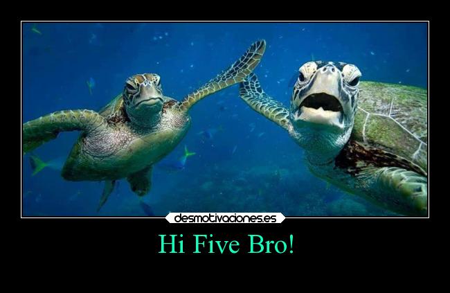 Hi Five Bro! - 