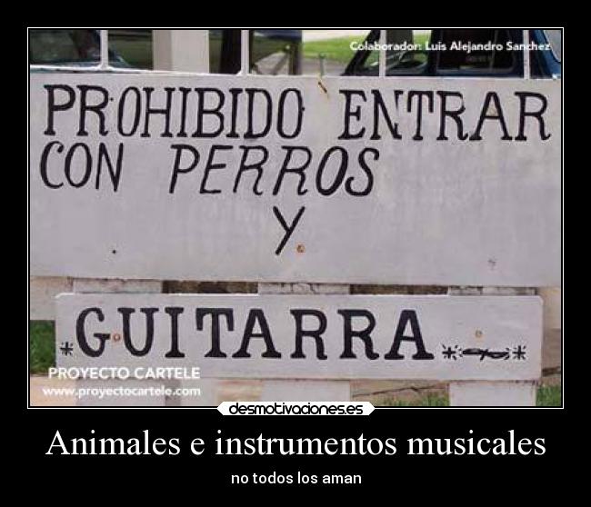 Animales e instrumentos musicales - no todos los aman