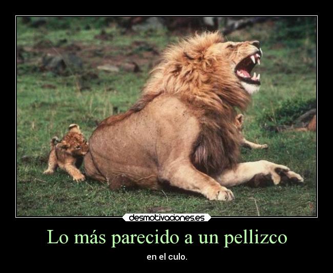 carteles animales leon desmotivaciones