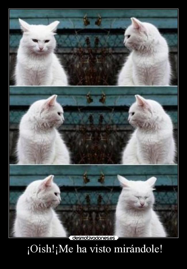¡Oish!¡Me ha visto mirándole! - 