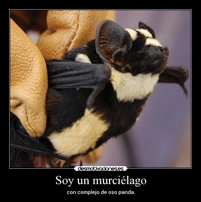 Soy un murciélago -