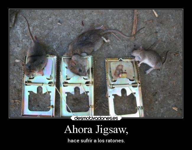 carteles animales trampa desmotivaciones