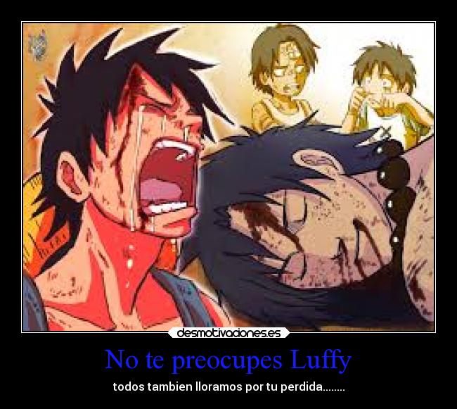 No te preocupes Luffy - todos tambien lloramos por tu perdida........