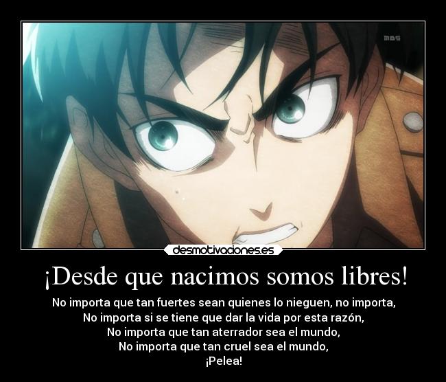 ¡Desde que nacimos somos libres! - No importa que tan fuertes sean quienes lo nieguen, no importa,
No importa si se tiene que dar la vida por esta razón,
No importa que tan aterrador sea el mundo,
No importa que tan cruel sea el mundo,
¡Pelea!