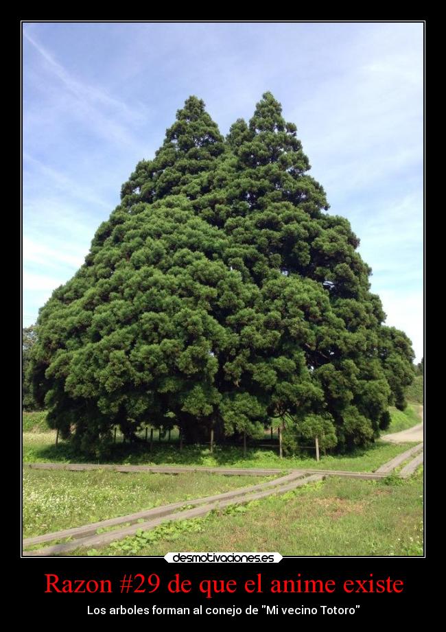 Razon #29 de que el anime existe -