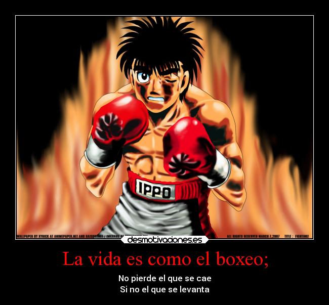 La vida es como el boxeo; - No pierde el que se cae
Si no el que se levanta