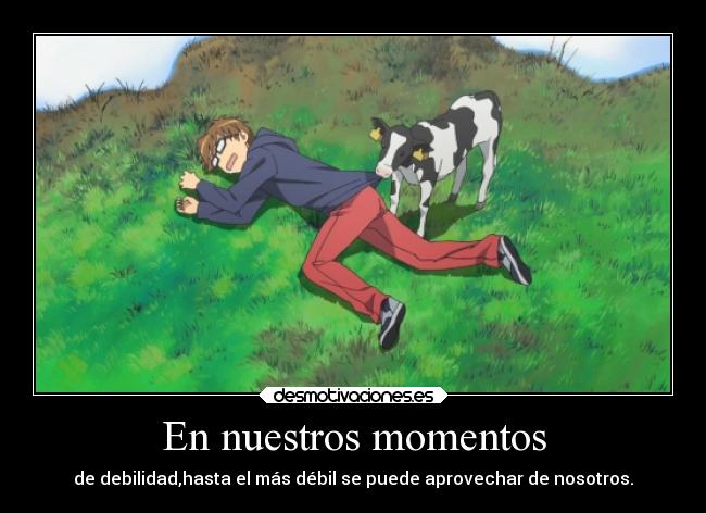 carteles anime gin saji vaca loca aprovechada doni anotherpikachubrigade desmotivaciones