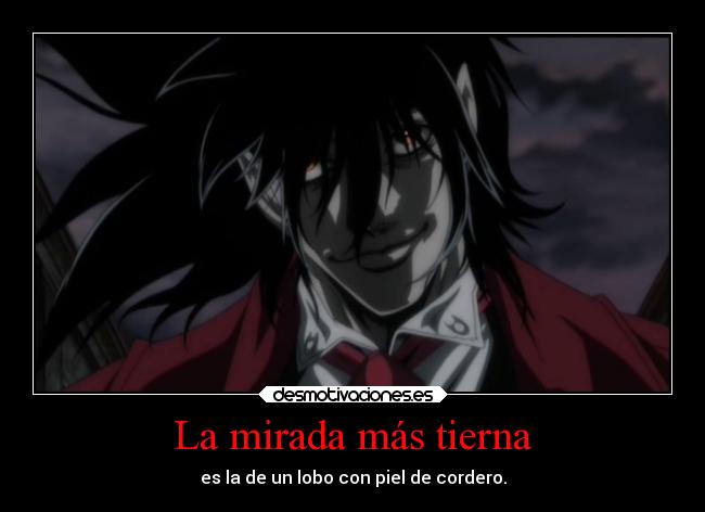 La mirada más tierna - es la de un lobo con piel de cordero.