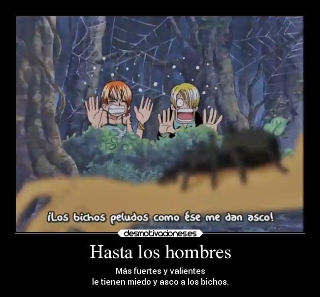 Hasta los hombres - Más fuertes y valientes
le tienen miedo y asco a los bichos.