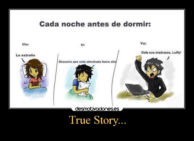 carteles anime one piece luffy true story desmotivaciones