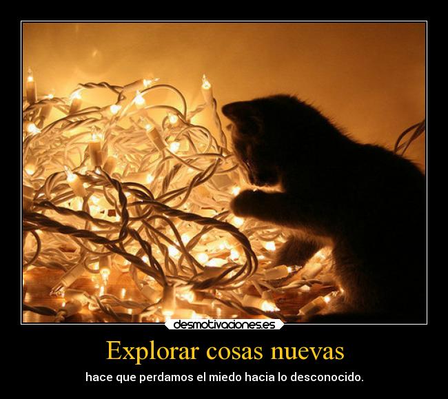 Explorar cosas nuevas - hace que perdamos el miedo hacia lo desconocido.