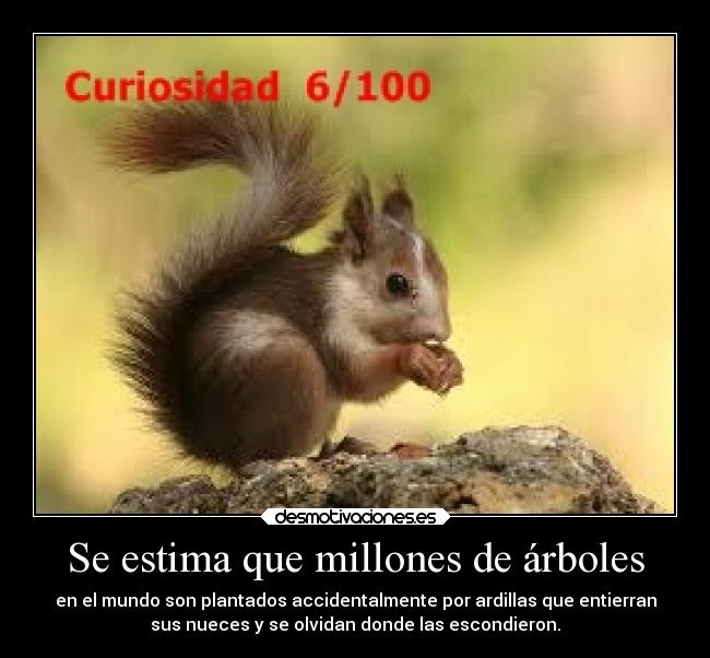 Se estima que millones de árboles - en el mundo son plantados accidentalmente por ardillas que entierran
sus nueces y se olvidan donde las escondieron.