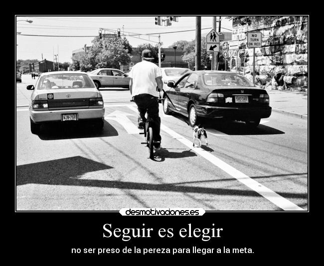Seguir es elegir -