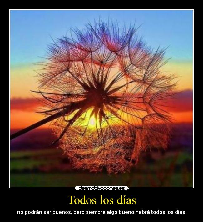 Todos los días -