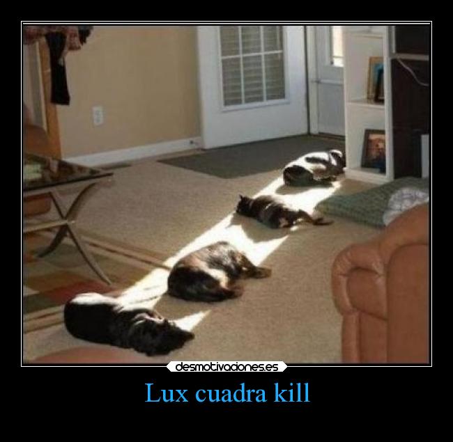 Lux cuadra kill -