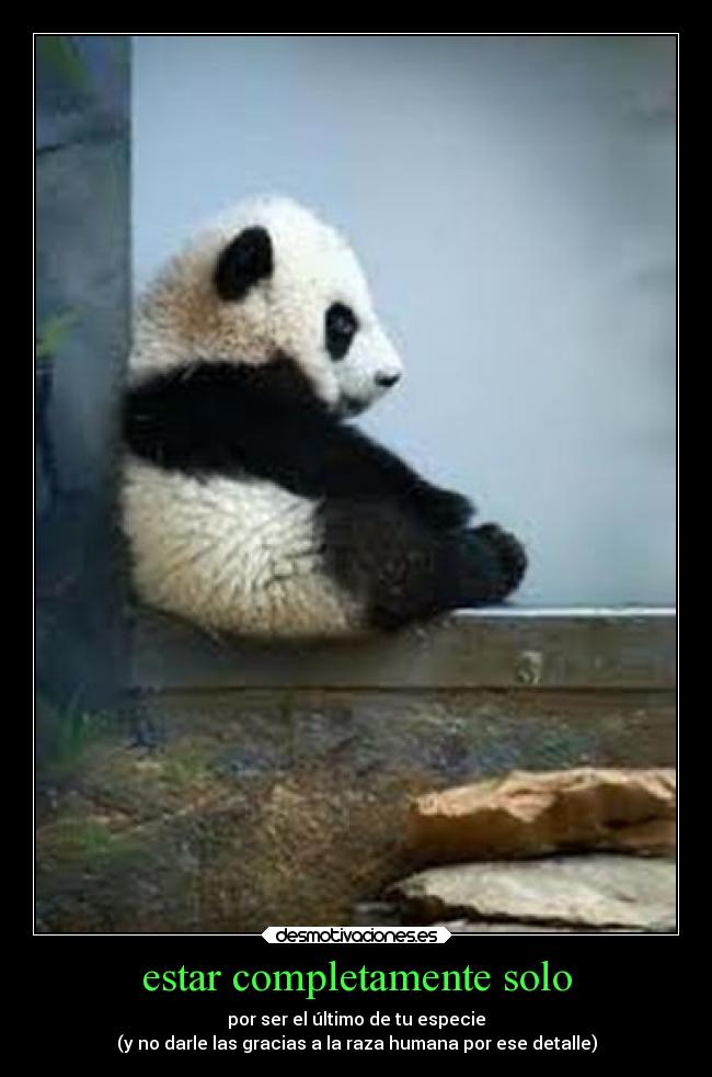 carteles ausencia desmotivaciones