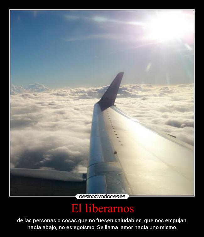 carteles ausencia mieldalaabeja hijosdelagranprogenitora andreavj desmotivaciones