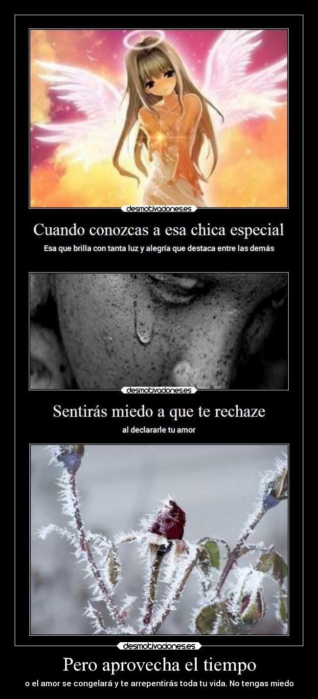 Pero aprovecha el tiempo - 