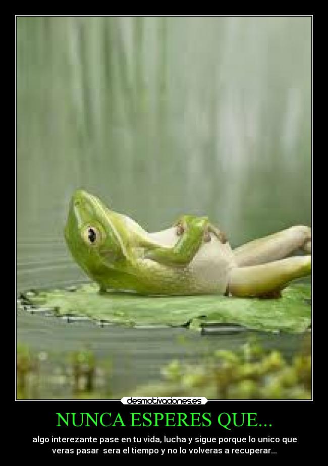 NUNCA ESPERES QUE... - algo interezante pase en tu vida, lucha y sigue porque lo unico que
veras pasar sera el tiempo y no lo volveras a recuperar...
