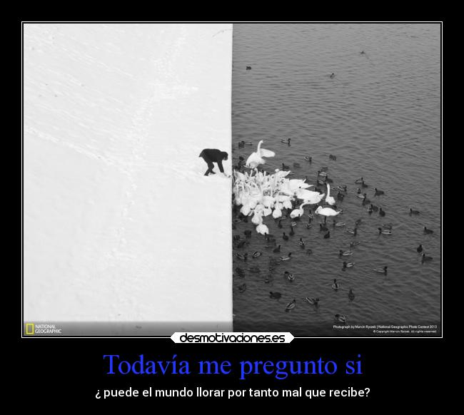 Todavía me pregunto si - ¿ puede el mundo llorar por tanto mal que recibe?