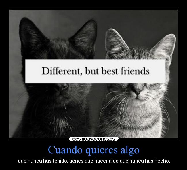 Cuando quieres algo - que nunca has tenido, tienes que hacer algo que nunca has hecho.