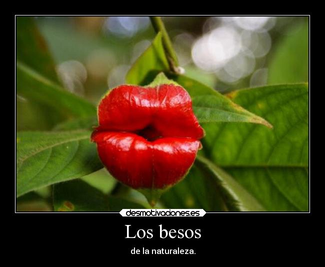 Los besos - de la naturaleza.