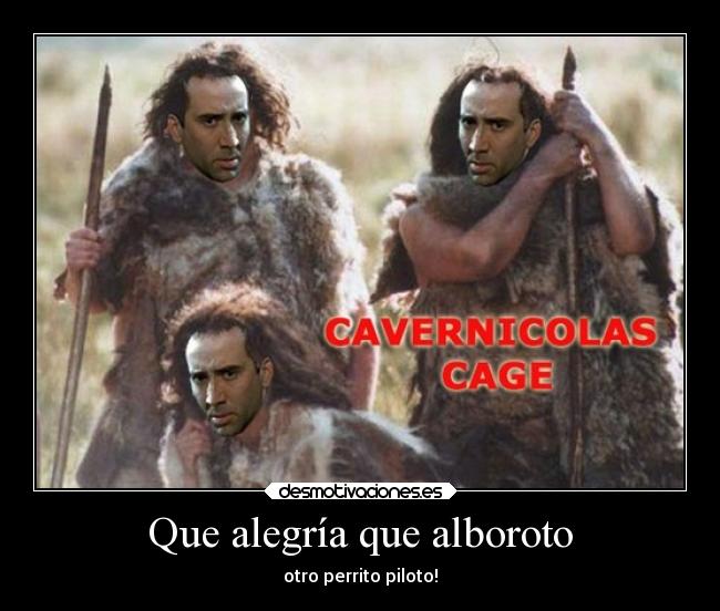 Que alegría que alboroto - otro perrito piloto!