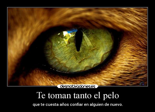 Te toman tanto el pelo - 