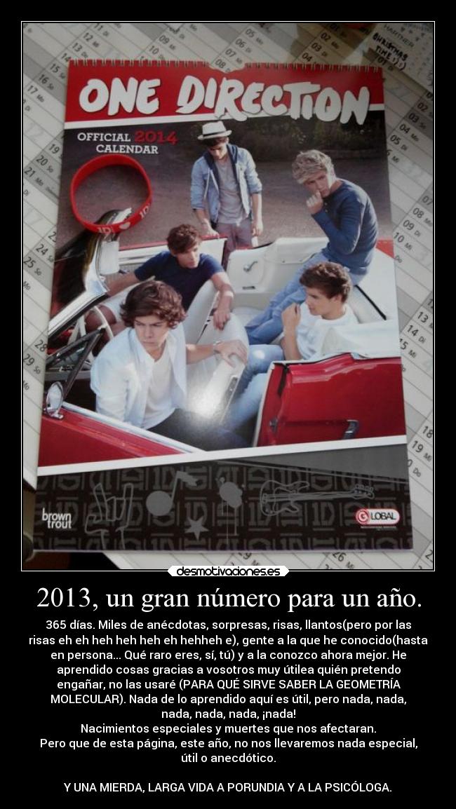 carteles bogota bonethastaenverano vinimos troliar fuimos troliados ano 2013 desmotivaciones