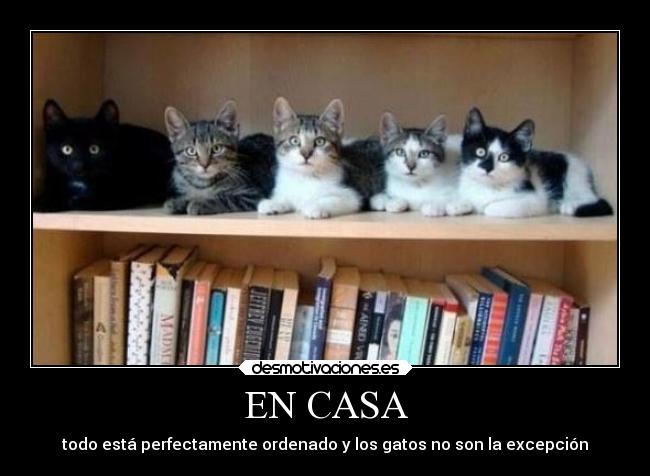EN CASA -