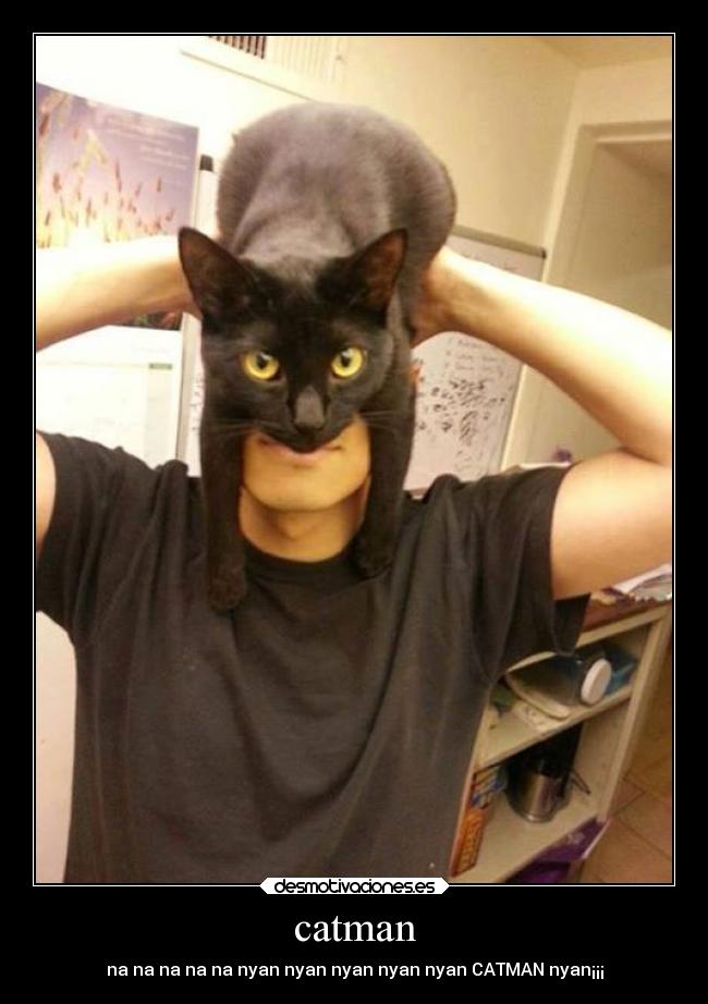 catman - na na na na na nyan nyan nyan nyan nyan CATMAN nyan¡¡¡