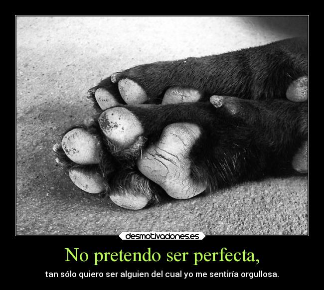 No pretendo ser perfecta, - 