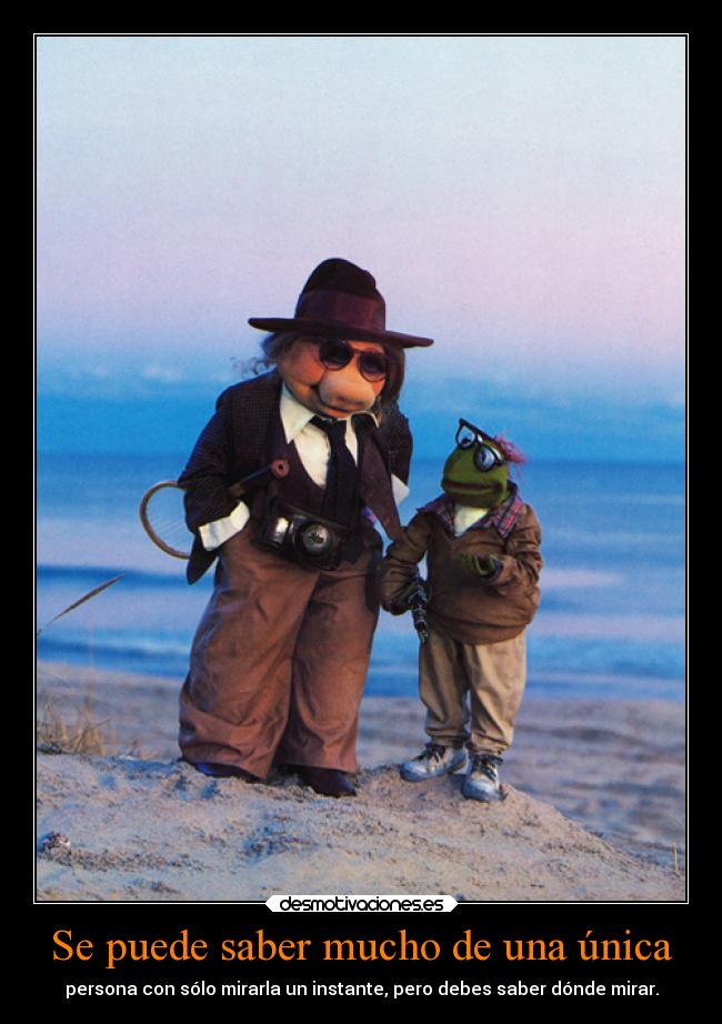 Se puede saber mucho de una única - 