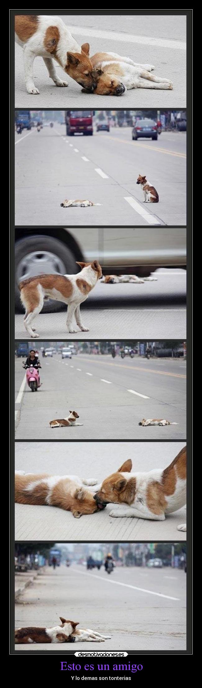 Esto es un amigo - 