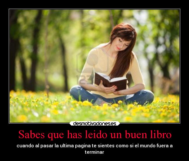 Sabes que has leido un buen libro -