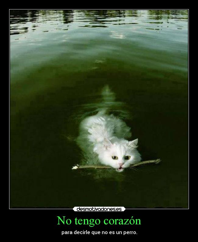 No tengo corazón - 