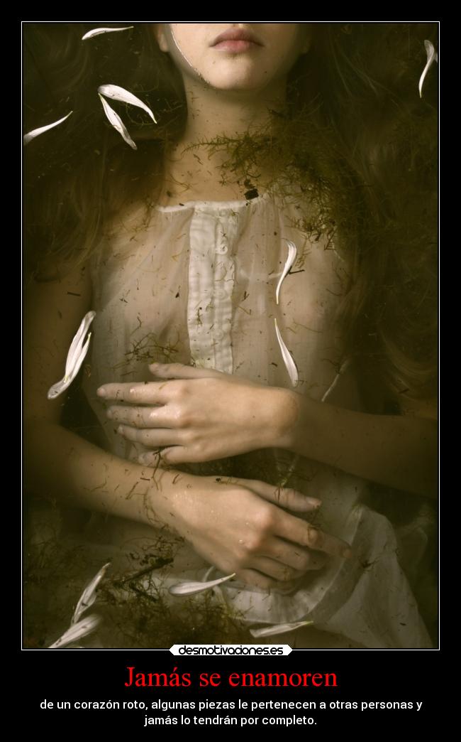 carteles corazon mieldalaabeja hijosdelagranprogenitora desmotivaciones